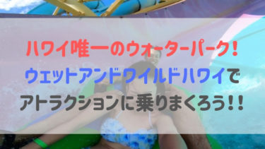 【2019年最新版】ウェットアンドワイルドハワイの行き方　お得な行き方まとめ