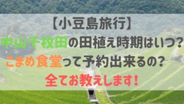 【小豆島旅行】中山千枚田の田植え時期はいつ？こまめ食堂って予約出来るの？　全てお教えします！