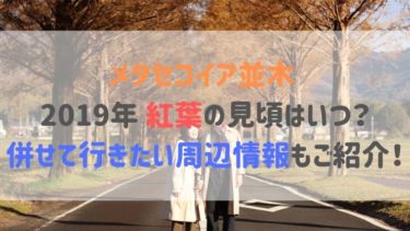 メタセコイア並木 2019年 紅葉の見頃はいつ？併せて行きたい周辺情報も併せてご紹介！