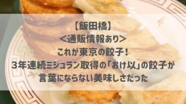 【飯田橋】＜通販情報あり＞これが東京の餃子！３年連続ミシュラン取得の「おけ以」の餃子が言葉にならない美味しさだった