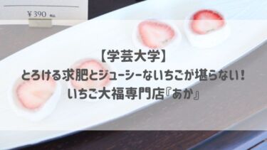 【学芸大学】とろける求肥とジューシーないちごが堪らない♡いちご大福専門店『あか』