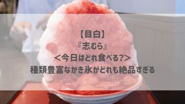 【目白】『志むら』＜今日はどれ食べる？＞種類豊富なかき氷がどれも絶品すぎる♡