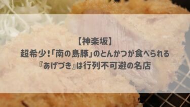 【神楽坂】超希少！「南の島豚」のとんかつが食べられる『あげづき』は行列不可避の名店