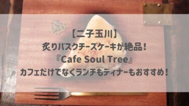 【二子玉川】 炙りバスクチーズケーキが絶品！ 『Cafe Soul Tree』 カフェだけでなくランチもディナーもおすすめ！