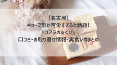 【名古屋】キューブ型が可愛すぎると話題♡『コアラのあくび』口コミ・お取り寄せ情報・実食レポまとめ