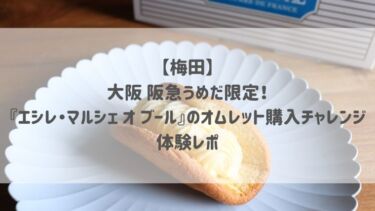 【梅田】大阪 阪急うめだ限定！『エシレ・マルシェ オ ブール』のオムレット購入チャレンジ 体験レポ