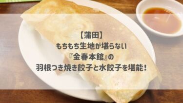 【蒲田】もちもち皮が堪らない♡『金春本館』の羽根つき焼き餃子と水餃子を堪能！