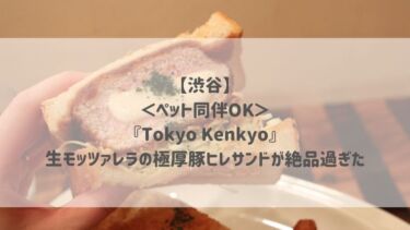 【渋谷】＜ペット同伴OK＞『Tokyo Kenkyo』生モッツァレラの極厚豚ヒレサンドが絶品過ぎた♡