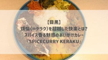 【目黒】煩悩（＝ケラク）を超越した快楽とは？スパイス香る魅惑のあいがけカレー『SPICECURRY KERAKU』