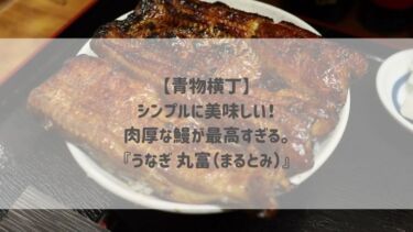 【青物横丁】シンプルに美味しい！肉厚な鰻が最高すぎる。『うなぎ 丸富（まるとみ）』