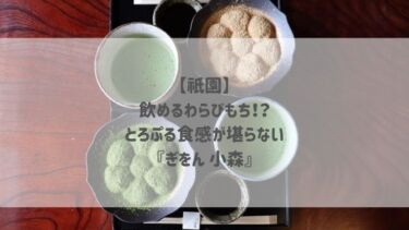 【祇園】飲めるわらびもち！？とろぷる食感が堪らない♡『ぎをん 小森』