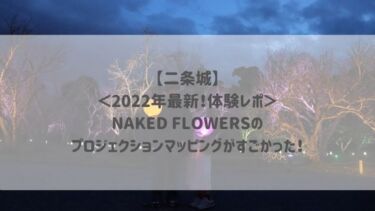 【二条城】＜2022年最新！体験レポ＞NAKED FLOWERSのプロジェクションマッピングがすごかった！