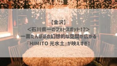 【金沢】 ＜石川県一のフォトスポット！？＞ 一面たんぽぽの幻想的な空間が広がる 『HIMITO 光水土』が映えすぎ！