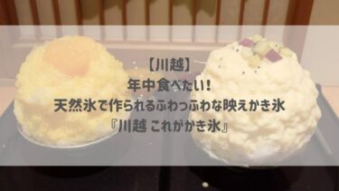 【川越】年中食べたい♡天然氷で作られるふわっふわな映えかき氷『川越 これがかき氷』