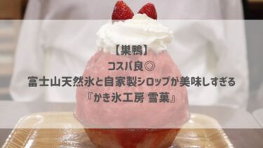 【巣鴨】コスパ良◎富士山天然氷と自家製シロップが美味しすぎる♡『かき氷工房 雪菓』