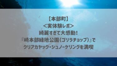 【本部町】 ＜実体験レポ＞ 綺麗すぎて大感動！ 『崎本部緑地公園（ゴリラチョップ）』で クリアカヤック・シュノーケリングを満喫