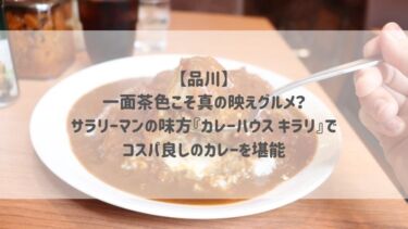 【品川】一面茶色こそ真の映えグルメ？サラリーマンの味方『カレーハウス キラリ』でコスパ良しのカレーを堪能