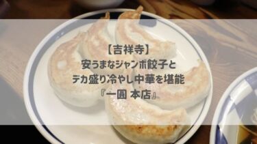 【吉祥寺】安うまなジャンボ餃子とデカ盛り冷やし中華を堪能『一圓 本店』