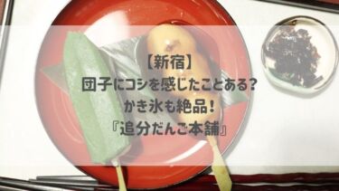 【新宿】団子にコシを感じたことある？かき氷も絶品！『追分だんご本舗』