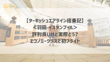 【ターキッシュエアライン搭乗記】＜羽田〜イスタンブール＞評判良いけど実際どう？エコノミークラスで初フライト