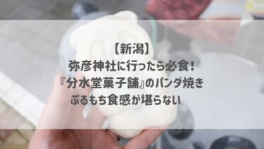 【新潟】弥彦神社に行ったら必食！『分水堂菓子舗』のパンダ焼き ぷるもち食感が堪らない♡