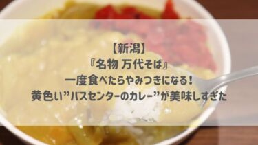 【新潟】 『名物 万代そば』 一度食べたらやみつきになる！ 黄色い”バスセンターのカレー”が美味しすぎた