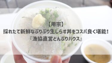 【用宗】採れたて新鮮なぷりぷり生しらす丼をコスパ良く堪能♡『漁協直営どんぶりハウス』