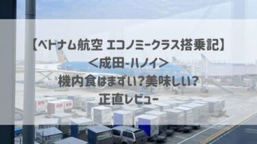 【ベトナム航空 エコノミークラス搭乗記】＜成田-ハノイ＞機内食はまずい？美味しい？正直レビュー