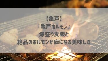 【亀戸】『亀戸ホルモン』爆盛り麦飯と癖になる美味しさのホルモンが楽しめる