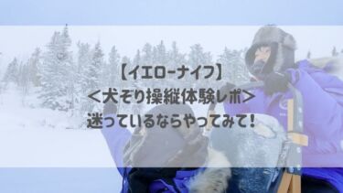 【イエローナイフ】＜犬ぞり操縦体験レポ＞迷っているならやってみて！