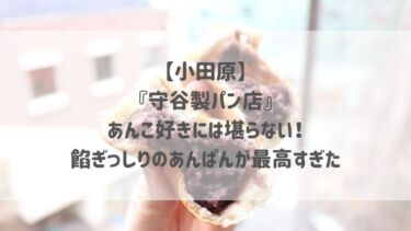 【小田原】『守谷製パン店』あんこ好きには堪らない！餡ぎっしりのあんぱんが最高すぎた