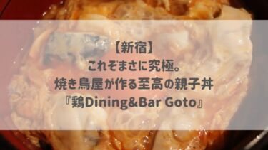 【新宿】これぞまさに究極。焼き鳥屋が作る至高の親子丼『鶏Dining&Bar Goto』