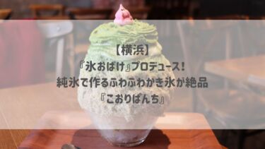 【横浜】『氷おばけ』プロデュース！純氷で作るふわふわかき氷が絶品『こおりぱんち』