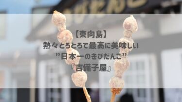 【東向島】熱々とろとろで最高に美味しい”日本一のきびだんご”『吉備子屋』