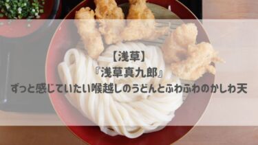 【浅草】『浅草真九郎』ずっと感じていたい喉越しのうどんとふわふわのかしわ天