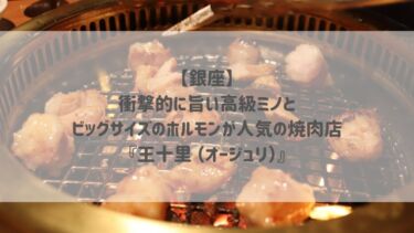 【銀座】衝撃的に旨い高級ミノとビッグサイズのホルモンが人気の焼肉店『王十里 （オージュリ）』