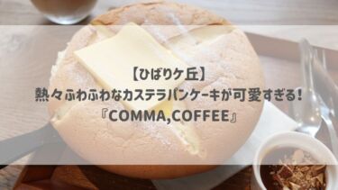 【ひばりケ丘】熱々ふわふわなカステラパンケーキが可愛すぎる♡『COMMA,COFFEE』