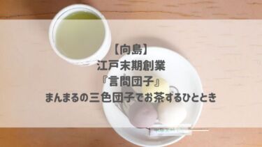 【向島】江戸末期創業『言問団子』まんまるの三色団子でお茶するひととき