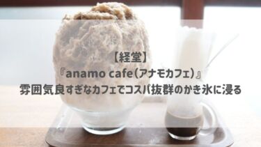 【経堂】『anamo cafe（アナモカフェ）』雰囲気良すぎなカフェでコスパ抜群のかき氷に浸る