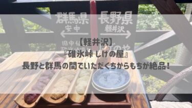 【軽井沢】『碓氷峠 しげの屋』長野と群馬の間でいただくちからもちが絶品！