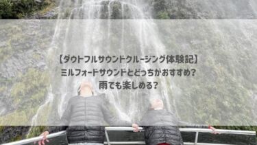 【ダウトフルサウンドクルージング体験記】ミルフォードサウンドとどっちがおすすめ？雨でも楽しめる？