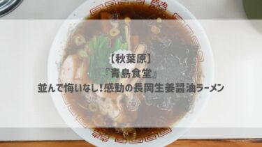 【秋葉原】『青島食堂』並んで悔いなし！感動の長岡生姜醤油ラーメン